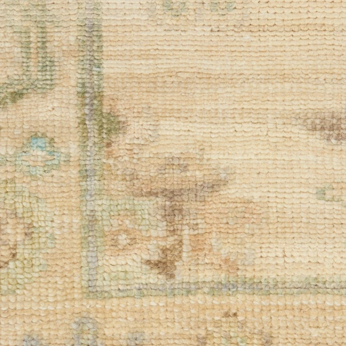 Nourison Odessa Area Rug ODS06-Ivory Multicolor