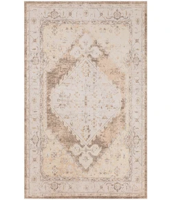 Nourison Home Astra Machine Washable ASW11 Beige 4 ft. X 6 ft. Area Rug