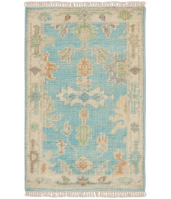 Nourison Home Odessa ODS03 Blue Multicolor 2 ft. X 3 ft. Area Rug