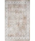 Nourison Astra Machine Washable Silver Taupe ASW16 6 ft. 7 in. X 9 ft. Rectangle Rug