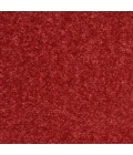 Nourison Nourison Essentials Area Rug NRE01 Brick Red