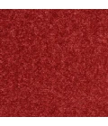 Nourison Essentials Brick Red Area Rug NRE01-Brick Red