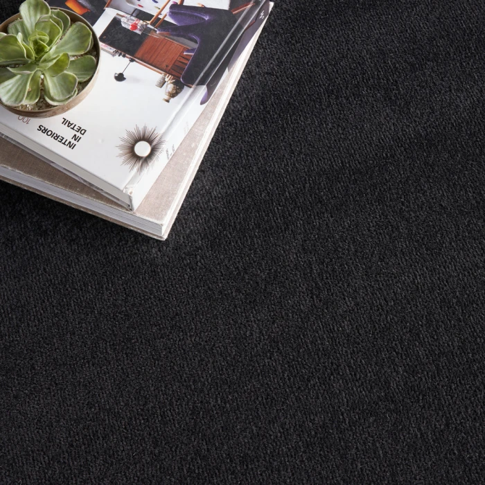 Nourison Nourison Essentials Area Rug NRE01 Black
