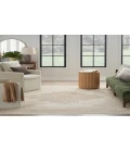 Nourison Grafix Ivory Beige GRF14 9 ft. X 12 ft. Rectangle Rug