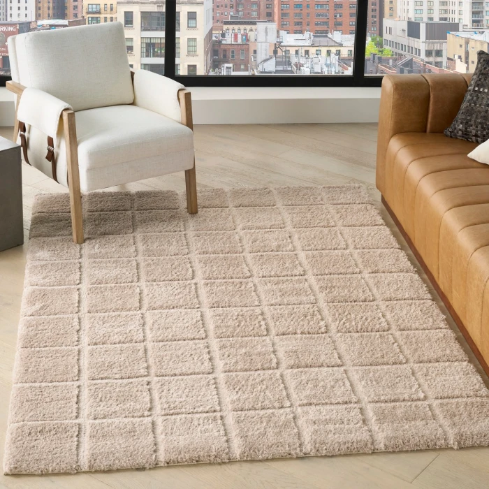 DKNY West End Ave Beige WTE01 4 ft. X 6 ft. Rect. Rug