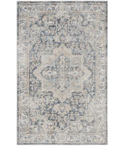 Nourison Home Astra Machine Washable ASW12 Grey Blue 2 ft. 2 in. X 4 ft. Area Rug
