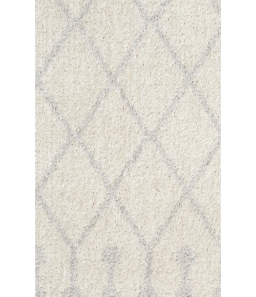 Nourison Astra Machine Washable Ivory ASW10 2 ft. X 6 ft. Rectangle Rug