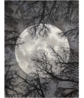 Nourison Tahoe Modern Area Rug TWI17-Moon