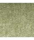 Nourison Pacific Shag Area Rug PCS01 Green