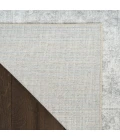 Nourison Astra Machine Washable Light Grey ASW11 4 ft. X 6 ft. Rect. Rug