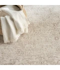 Nourison Shadows Ivory Grey SHW04 10 ft. X 13 ft. Rect. Rug