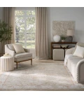 Nourison Infinite Sage Ivory IFT01 8 ft. X 10 ft. Rect. Rug