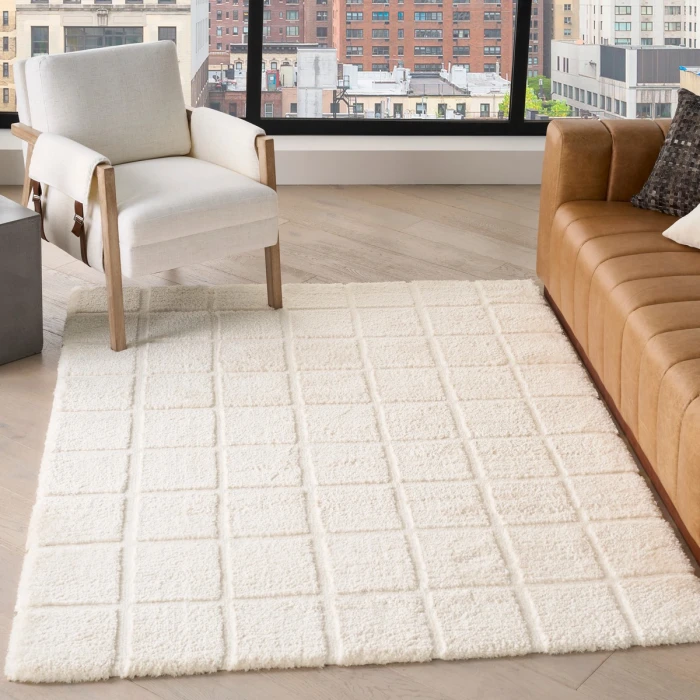 DKNY West End Ave Ivory WTE01 6 ft. X 9 ft. Rect. Rug