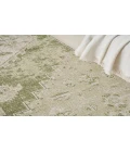 Nourison Astra Machine Washable Ivory Green ASW11 4 ft. X 6 ft. Rectangle Rug