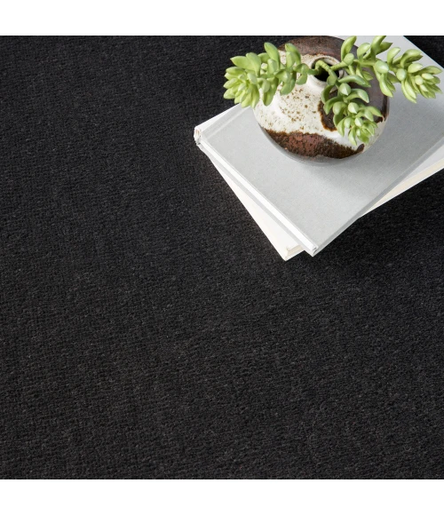 Nourison Nourison Essentials Area Rug NRE01 Black