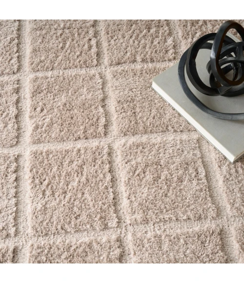 DKNY West End Ave Beige WTE01 5 ft. X 7 ft. Rect. Rug