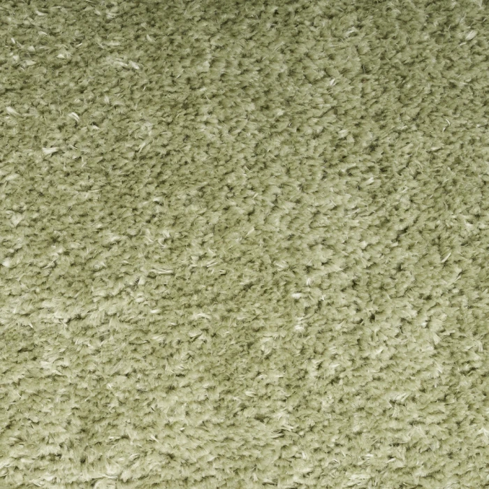 Nourison Pacific Shag Area Rug PCS01 Green