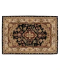Nourison 2000 Area Rug 2028-Black