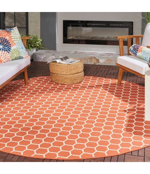 Nourison Twist Reversible Coral TWS01 8 ft. X Round Rug