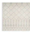 Nourison Astra Machine Washable Area Rug ASW10 Ivory