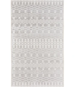 Nourison Home Astra Machine Washable ASW10 Grey 2 ft. X 6 ft. Area Rug