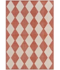 Nourison Positano Terracotta POS04 4 ft. X 6 ft. Rect. Rug