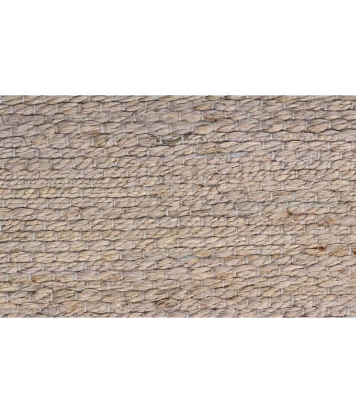 Nourison Natural Jute Grey NJT01 4 ft. X 6 ft. Rectangle Rug