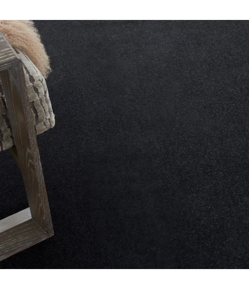 Nourison Nourison Essentials Black Area Rug NRE01 Black 10' x 14'