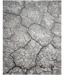 Nourison Home Divine DIV01 Charcoal 5 ft. 6 in. X 7 ft. 5 in. Area Rug