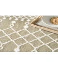 Nourison Astra Machine Washable Sage ASW10 5 ft. 3 in. X 7 ft. Rectangle Rug