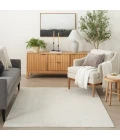Nourison Sustainable Trends Ivory SUT07 6 ft. X 9 ft. Rect. Rug