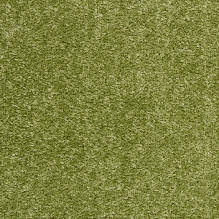 Nourison Essentials Green Area Rug NRE01-Green
