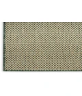Nourison Courtyard Green COU01 4 ft. X 6 ft. Rectangle Rug
