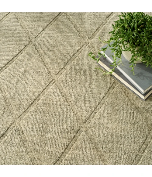 Nourison Wool Haven Sage WOH01 7 ft. 9 in. X 9 ft. 9 in. Rect. Rug