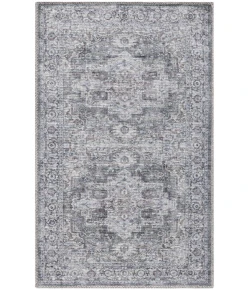 Nourison Home New Concept Washables SR101 Ivory Grey 3 ft. X 5 ft. Area Rug