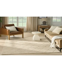 Nourison Home Wool Haven WOH01 Beige 5 ft. 3 in. X 7 ft. 3 in. Area Rug