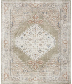 Nourison Astra Machine Washable Sage Multicolor ASW11 10ft. x 14ft. Rect. Rug