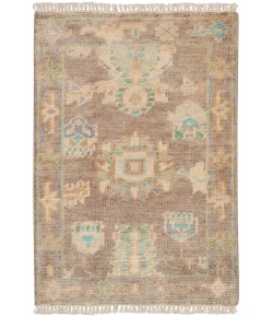 Nourison Home Odessa ODS01 Ivory Mocha 2 ft. X 3 ft. Area Rug