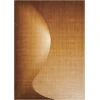 Nourison Home Radiant Arts Amber RA01 2ft.3in. x 4ft. Rect. Rug