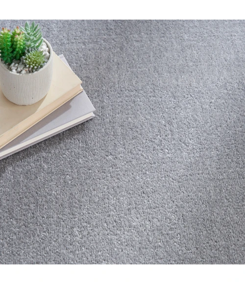 Nourison Nourison Essentials Area Rug NRE01 Silver Grey