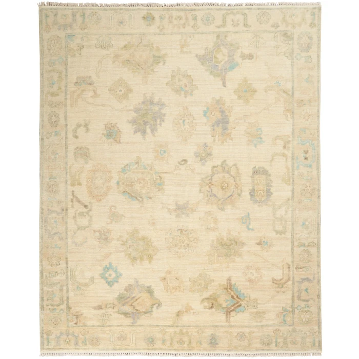 Nourison Odessa Area Rug ODS06-Ivory Multicolor