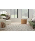 Nourison Jubilant Ivory Beige JUB09 5 ft. 3 in. X 7 ft. 3 in. Rectangle Rug