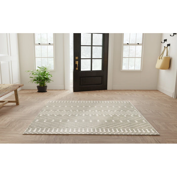 Nourison Astra Machine Washable Sage ASW10 4 ft. X 6 ft. Rectangle Rug