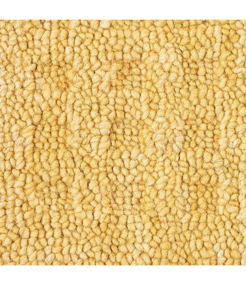 Nourison Marana Gold MNN01 8 ft. Rect. Rug