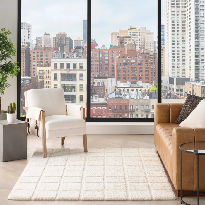 DKNY West End Ave Ivory WTE01 6 ft. X 9 ft. Rect. Rug