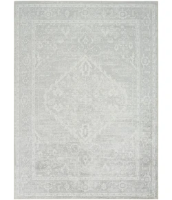Nourison Home Astra Machine Washable ASW11 Light Grey 4 ft. X 6 ft. Area Rug