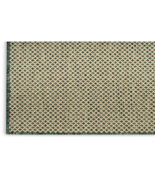 Nourison Courtyard Green COU01 6 ft. X 9 ft. Rectangle Rug