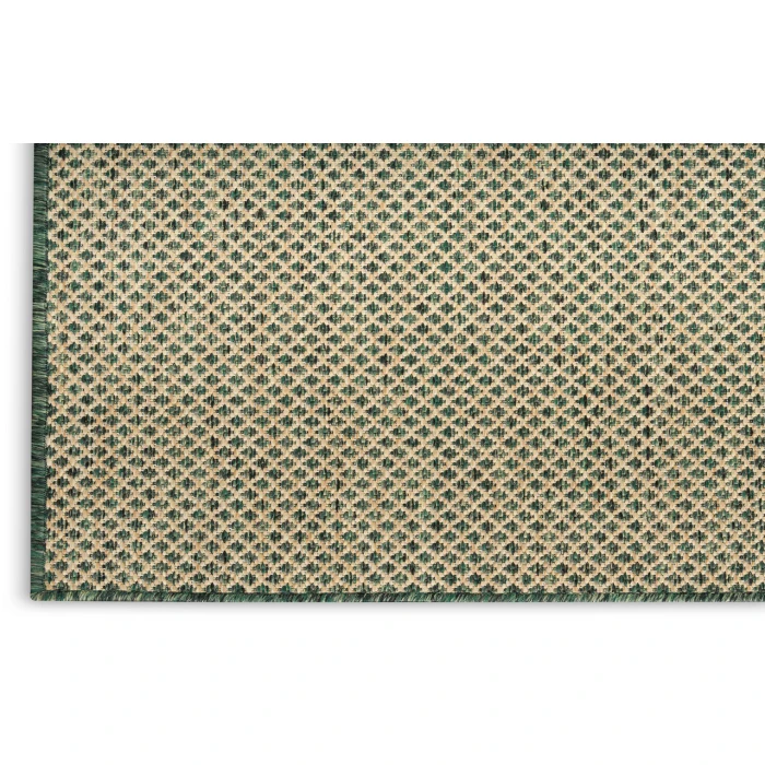 Nourison Courtyard Green COU01 6 ft. X 9 ft. Rectangle Rug