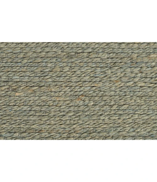 Nourison Natural Jute Sage NJT01 4 ft. X 6 ft. Rectangle Rug