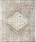 Nourison Astra Machine Washable Sage Multicolor ASW11 7ft. x 10ft. Rect. Rug